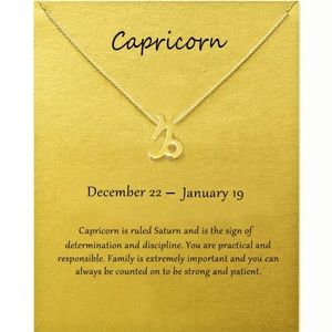 Capricorn ♑️ Zodiac Chains Necklace